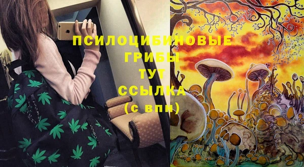 MDMA Аркадак