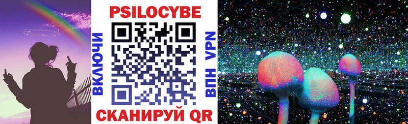 закладка Сураж omg tor Галлюциногенные грибы Magic Shrooms