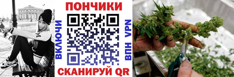 Конопля индика Сураж